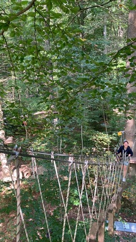 Ein Tag im Kletterwald